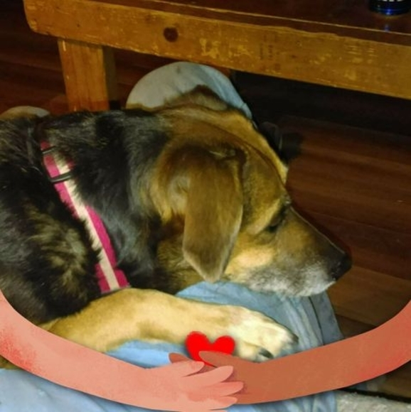 Meet your Posher, Scott - Picture 1 of 1